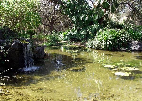 Los Angeles County Arboretum (12/31/2003)