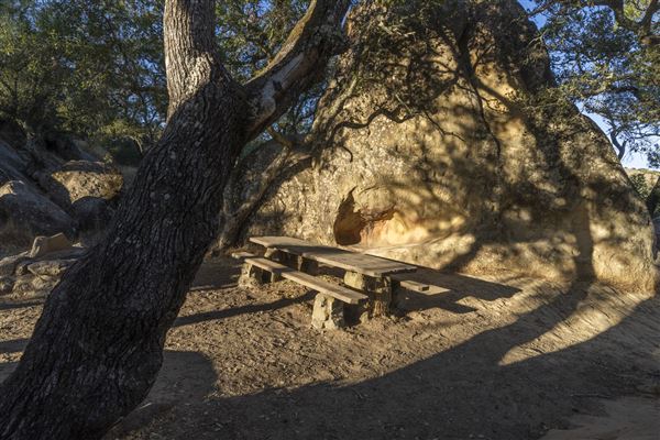 Mount Diablo State Park (SP) (10/22/2024 - Credits: Brian Baer)
