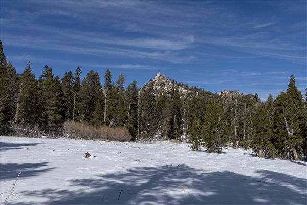 Mount San Jacinto State Park (SP) & Palm Springs Aerial Tramway (12/4/2018 - Credits: Brian Baer)