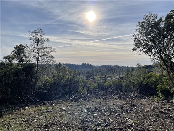 Aukum Ranch (3/20/2026 - Credits: Jon Masters)