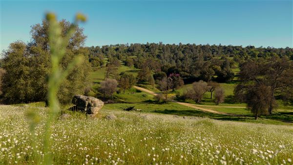 8,600 Acres in Mariposa & Madera County (3/21/2026 - Credits: Nicholas Padilla)