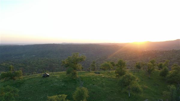 8,600 Acres in Mariposa & Madera County (3/21/2026 - Credits: Nicholas Padilla)