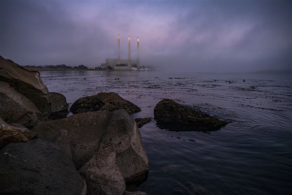 Morro Bay State Park (SP) (12/1/2021 - Credits: Brian Baer)