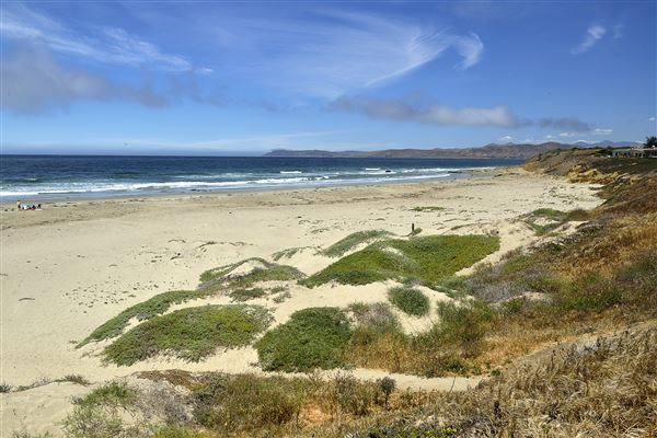 Morro Strand State Beach (SB) (6/26/2014 - Credits: Brian Baer)