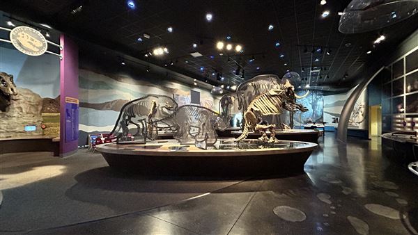 Wester Science Center (3/28/2026 - Credits: Brandy Davis)