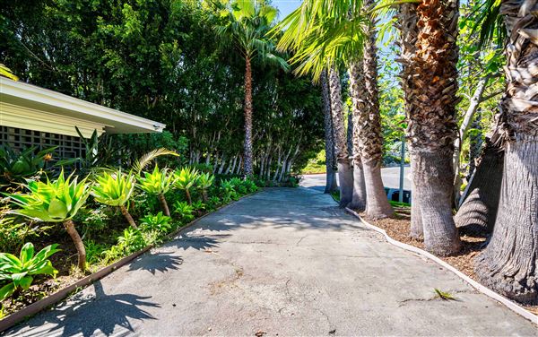 Vintage Hollywood Vibes – Secluded Palm-Lined Mid-Century Pool Oasis Wrapped In Lush Greenery – A Filmmaker’s Dream! (4/5/2025 - Credits: Elegant Textiles, Inc.)