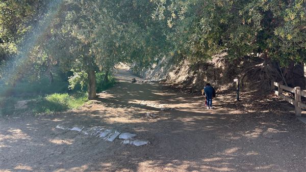 Boy Scout Trail - Griffith Park (3/6/2022 - Credits: Leo Fialho)