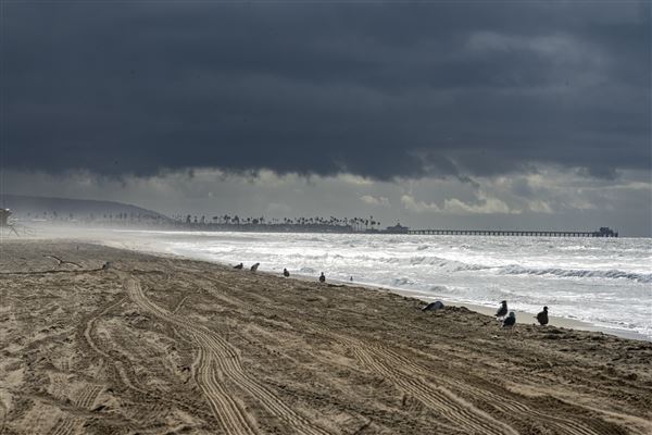 Huntington State Beach (SB) (10/8/2021 - Credits: Brian Baer)