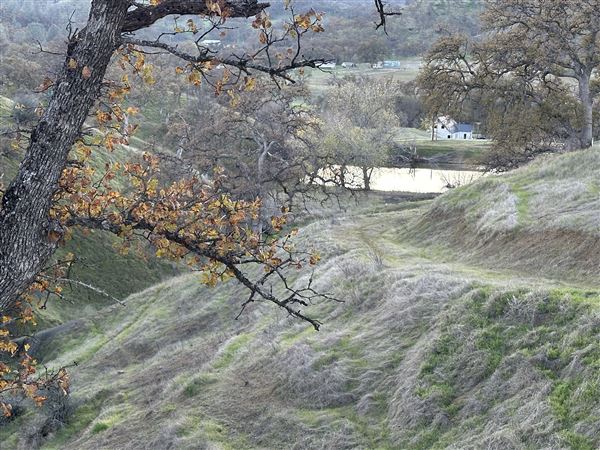 Solace Ranch & Vineyard (Credits: Solace Ranch)