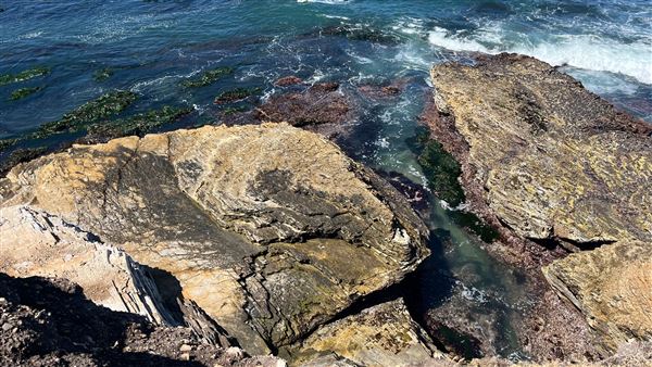 Montana de Oro State Park (SP) (4/22/2026 - Credits: Leo Fialho)
