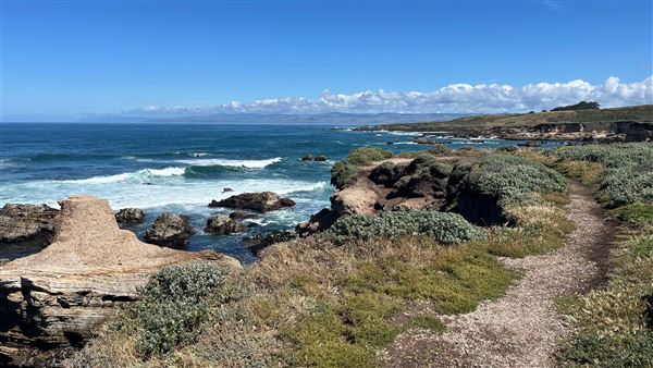 Montana de Oro State Park (SP) (4/22/2026 - Credits: Leo Fialho)