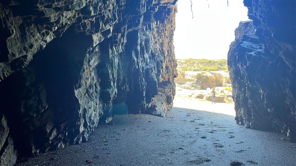 Montana de Oro State Park (SP) (4/22/2026 - Credits: Leo Fialho)