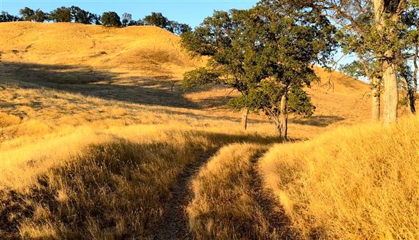 Solace Ranch & Vineyard (5/13/2026)