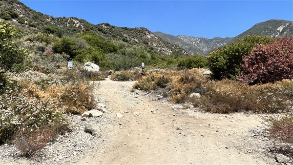 Deukmejian Wilderness Park (7/6/2026 - Credits: Brandy Davis)