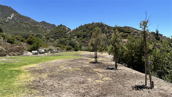 Deukmejian Wilderness Park (7/6/2026 - Credits: Brandy Davis)
