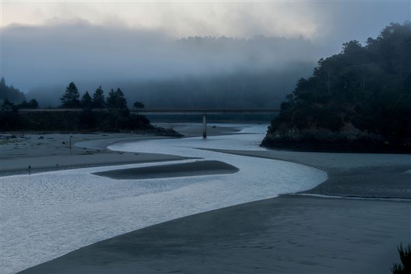 Mendocino Headlands State Park (SP) (7/15/2026 - Credits: submitted by: Tracy Weisberg)