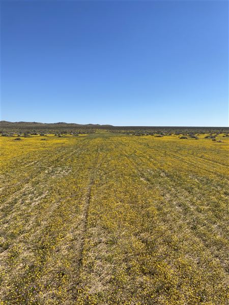 Fiix Ranch Movie Ranch (7/20/2026 - Credits: Michael Rabinowitz)