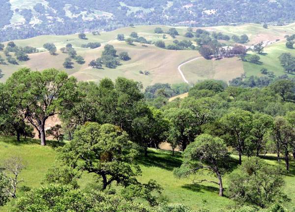 Mount Diablo State Park (SP) (12/31/2003)