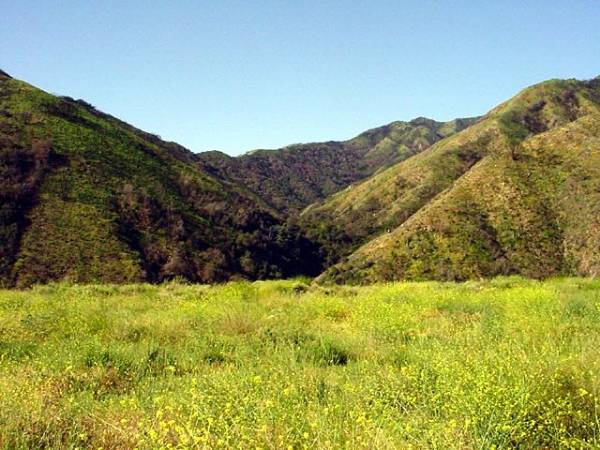 Mountain Property of Social Model Recovery System - Private Property (12/31/2003)