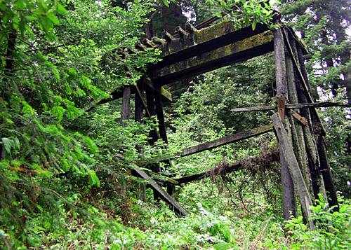 Roaring Camp Railroad (12/31/2003)