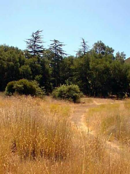 Rocky Oaks - National Park Service (NPS) (12/31/2003)