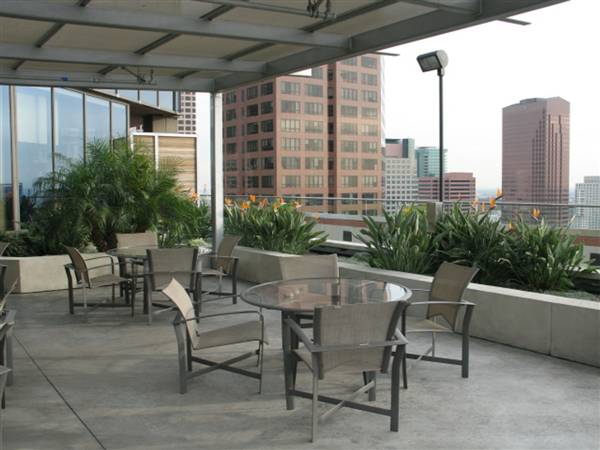 1100 Wilshire (1/27/2010 - Credits: John Grant)