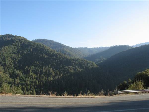 Giant Sequoia National Monument (9/22/2008 - Credits: LGFeldstein)