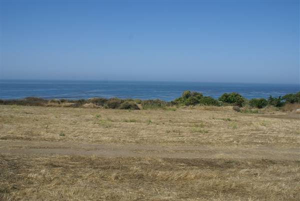 El Pescador State Beach @ Robert H. Meyer Memorial State Beach (SB) - CFC (7/22/2010)