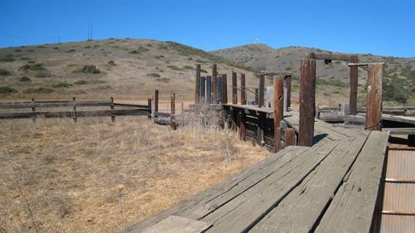 Catalina Island, Avalon Bay (7/27/2010 - Credits: Kent Matsuoka)