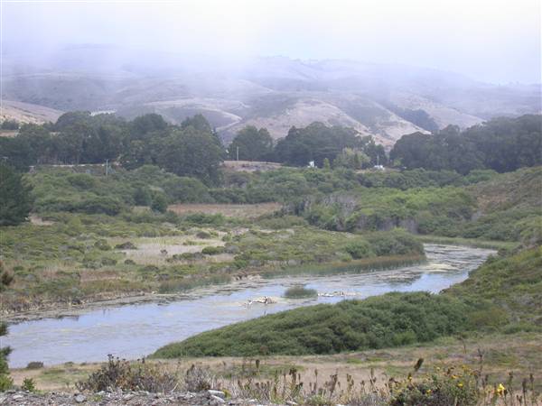 San Gregorio State Beach (SB) - San Gregorio Creek (8/3/2010)