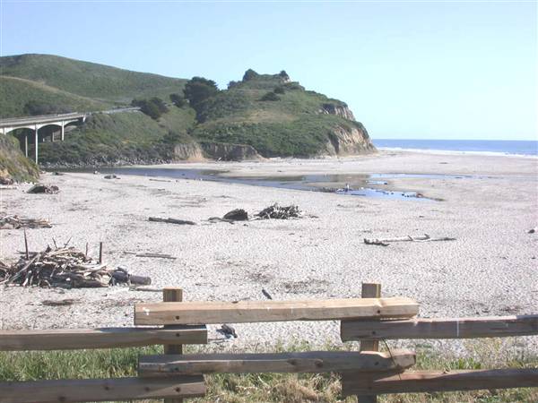 San Gregorio State Beach (SB) - San Gregorio Creek (8/3/2010)