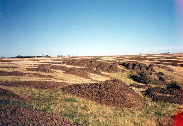 Table Mountain (12/31/2003)