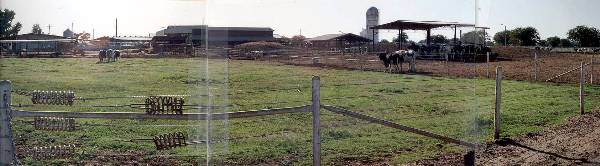 Chico State Paul L. Byrne Memorial University Farm - Agricultural Teaching & Research Center (12/31/2003)