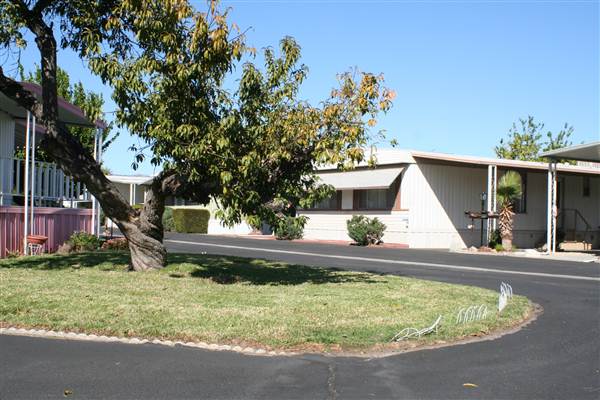 Riviera Mobile Estates (9/16/2010 - Credits: Lindsay Mizrahi)