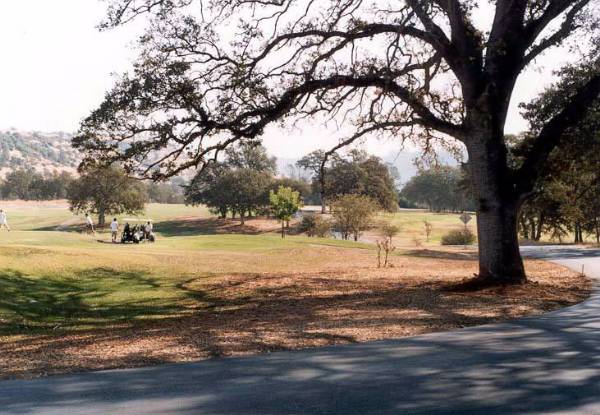 Bidwell Park Golf Course (12/31/2003)