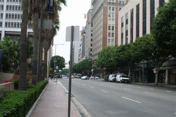 Olive St. between 5th and 6th St. (9/1/2010 - Credits: Lindsay Mizrahi)