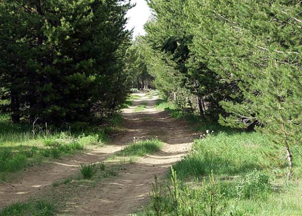 Washoe Meadows State Park (SP) (12/31/2003)