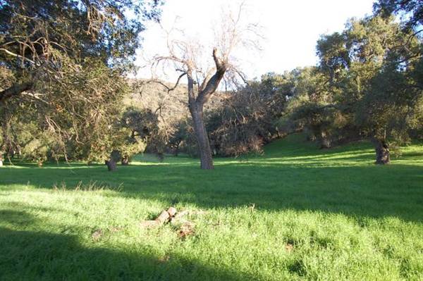 Ventura Farms (6/14/2011 - Credits: David Golden)