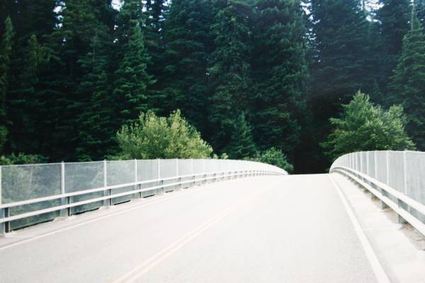 Highway 101 within Humboldt Redwoods State Park (3/17/2008)