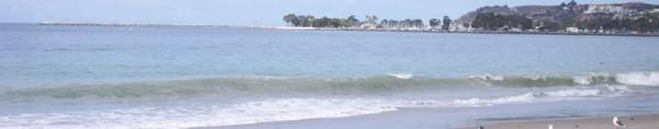Doheny State Beach (SB) (11/18/2008)