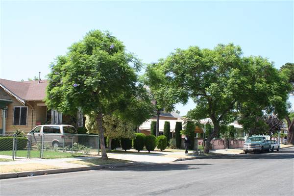 West Adams Neighborhood Historic District (10/10/2012)