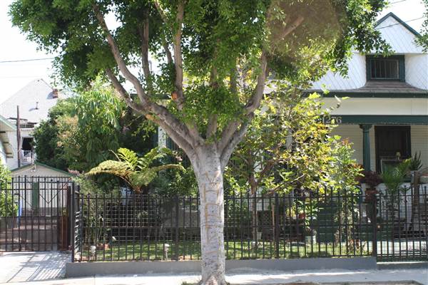 West Adams Neighborhood Historic District (10/10/2012)