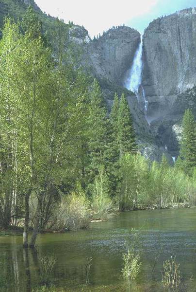 Yosemite National Park - More info: Visit www.filmyosemite.com (12/25/2008 - Credits: Dave Wolin)