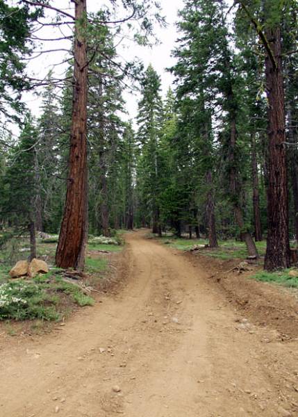 Burton Creek State Park (SP) (12/31/2003)
