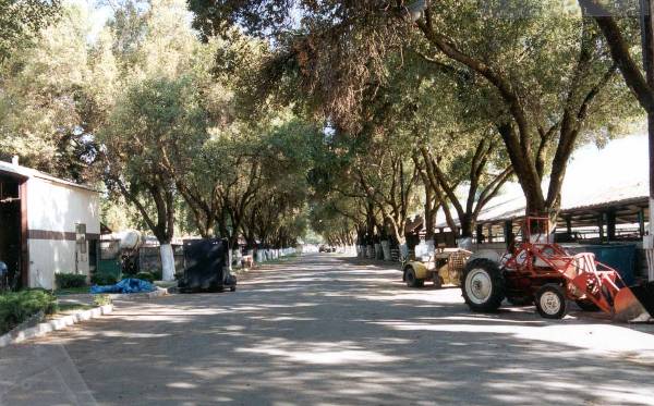 Butte County Fairgrounds - 3rd DAA (12/31/2003)