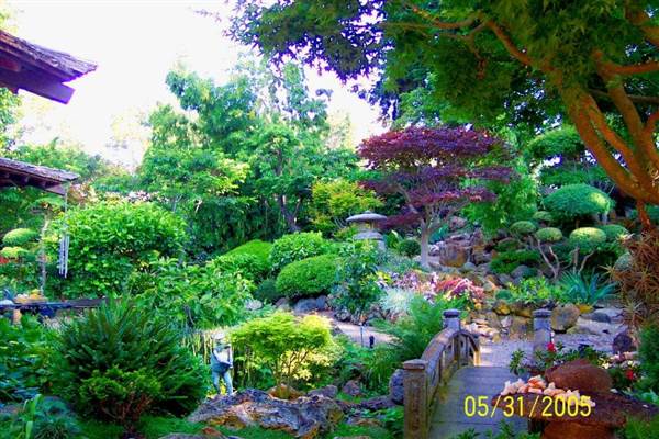Japanese Tea Garden - San Mateo Central Park & Recreation Center (6/24/2013)