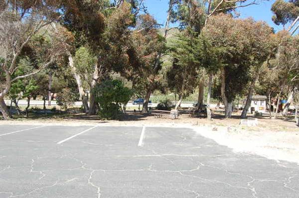 Sycamore Cove State Beach (SB) & Campground @ Point Mugu State Park (SP) - CFC (10/29/2013 - Credits: David Golden)