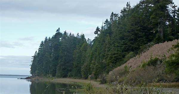 Harry A. Merlo State Recreation Area (SRA) (2/17/2014)