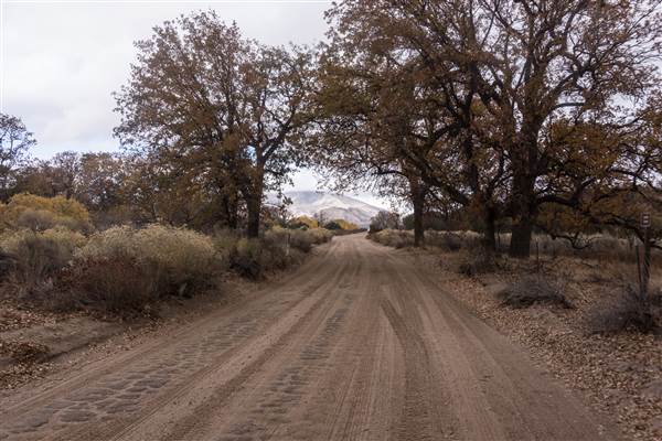 Pyramid Lake (1/26/2015)