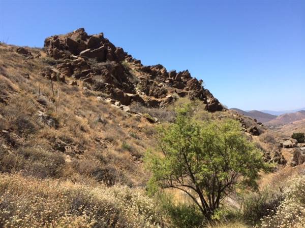 Agua Dulce Mountain Ranch (10/8/2015)